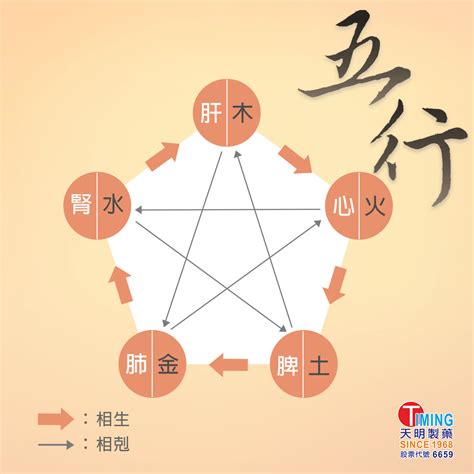 五行成語相剋|五行相剋:解讀,中醫套用,